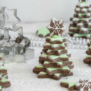 Tannenbaum Kakao Plätzchen mit Royal Icing