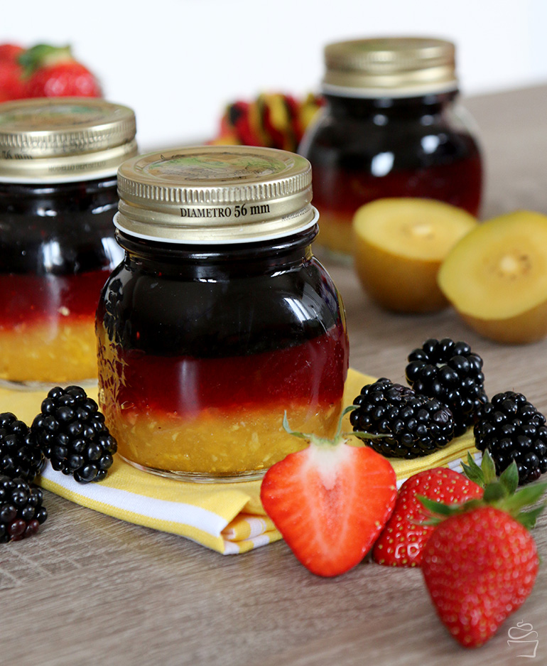 EM Deutschland Marmelade Brombeer-Johannisbeere Erdbeer-Hibiskis Mango-Kiwi