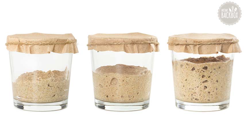 Sauerteig Anstellgut füttern